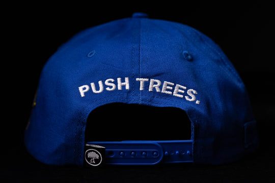 Los Angeles Pushers Hat