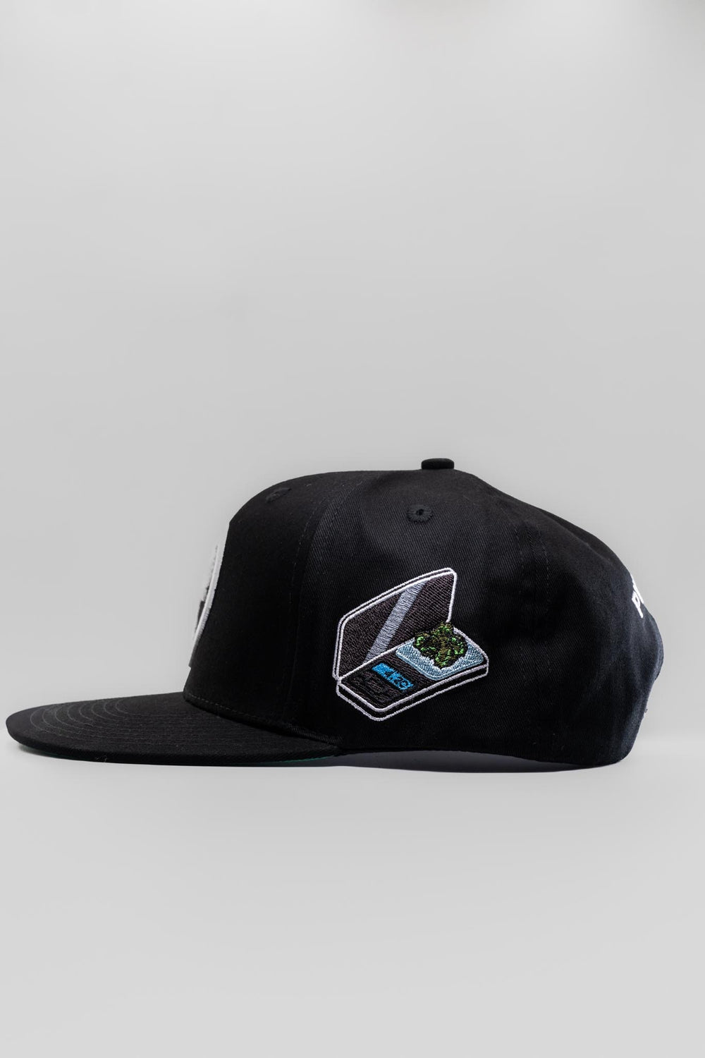 Push Trees Stamp Snapback