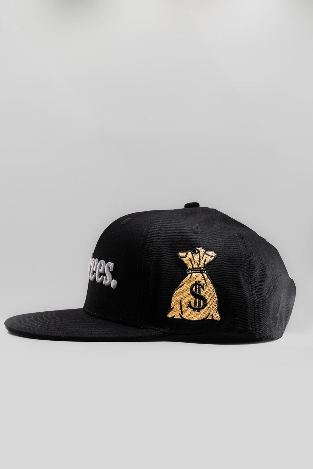 OG Push Trees Snapback