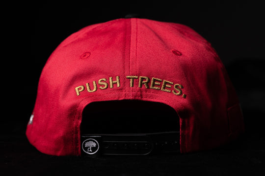 San Francisco Pushers Hat