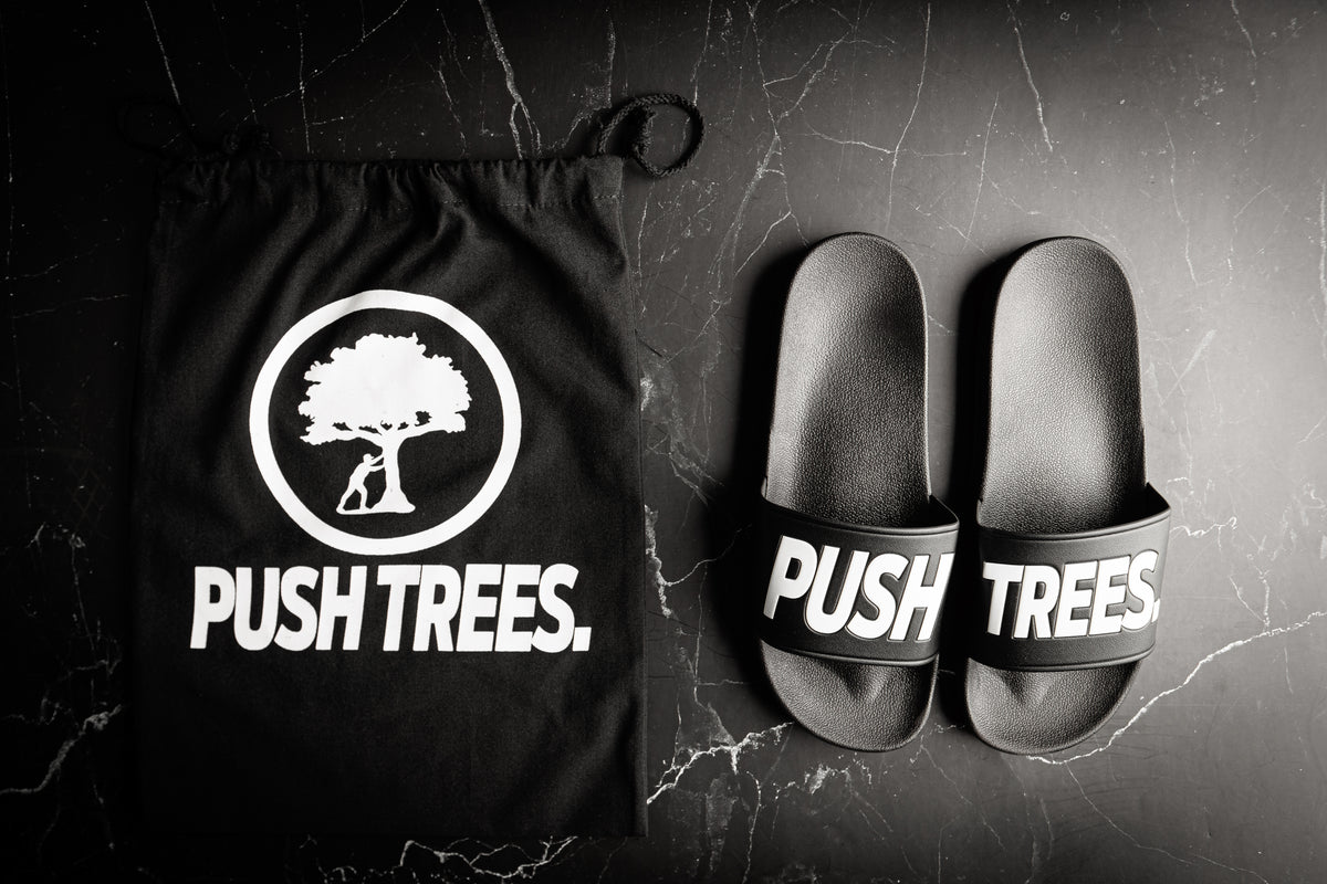 Push Trees First Backpack Push Trees Slides