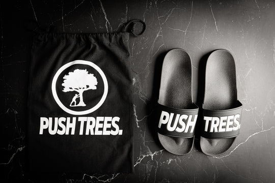 Push Trees Slides