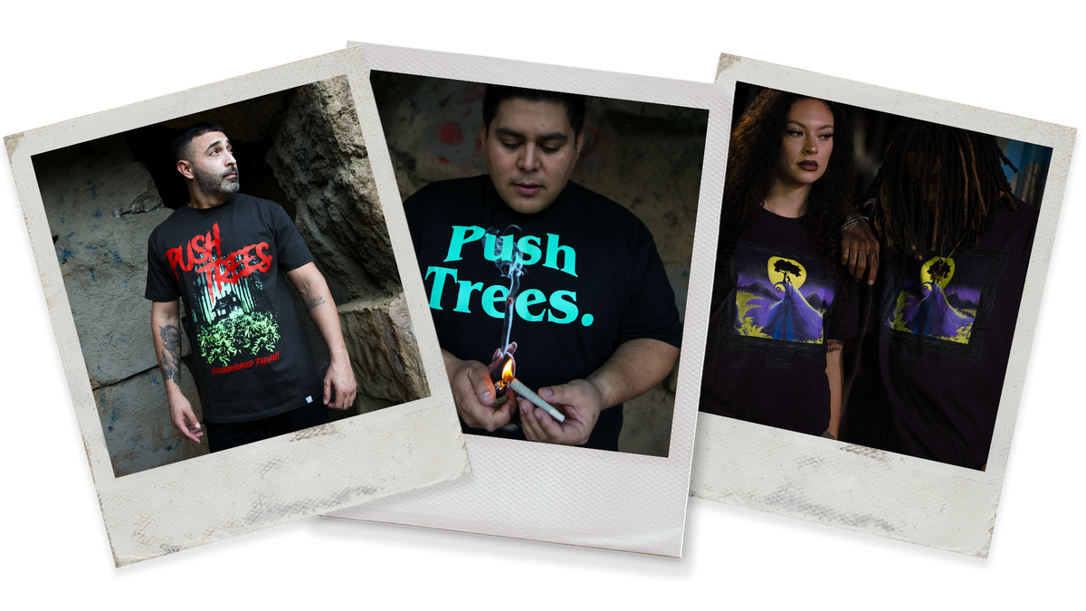 Push Trees First Backpack Push Trees. – Push Trees Inc