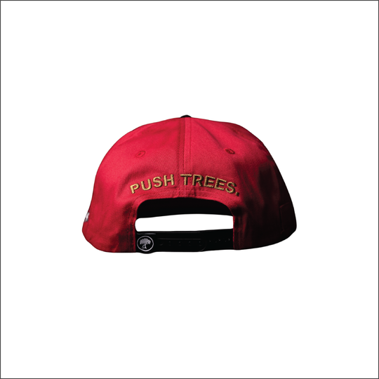 San Francisco Pushers Hat