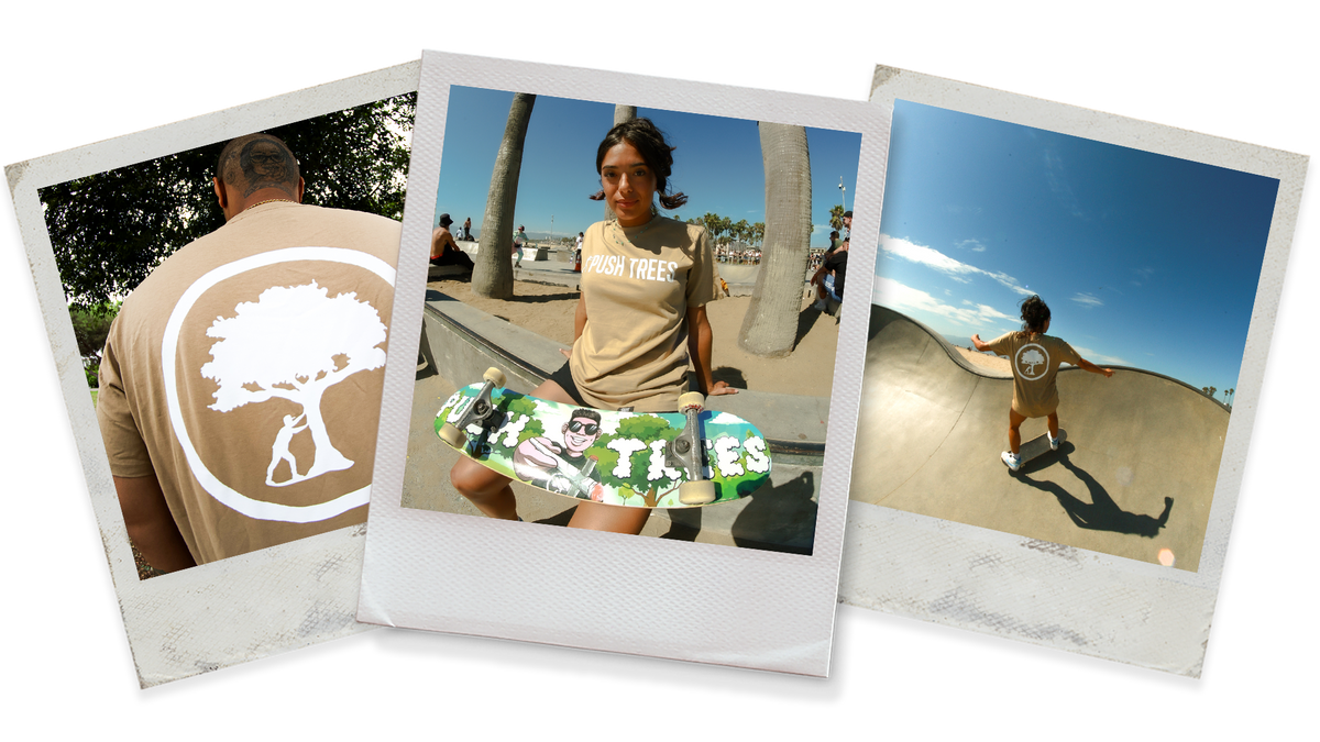 Push Trees. – Push Trees Inc